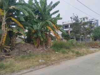 Bán lô đất khu Ta sa đường Nguyễn Bỉnh Khiêm, Hải An, Hải Phòng.